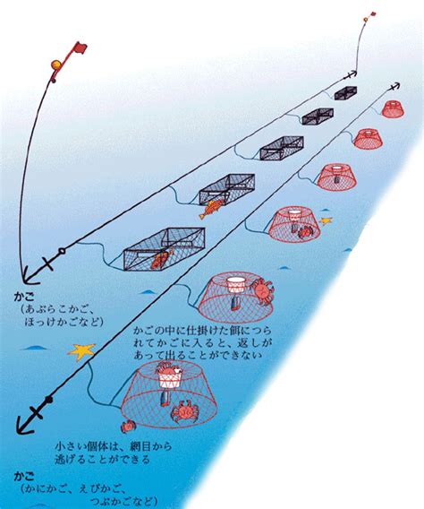 魚網種類|代表的な漁具・漁法の解説